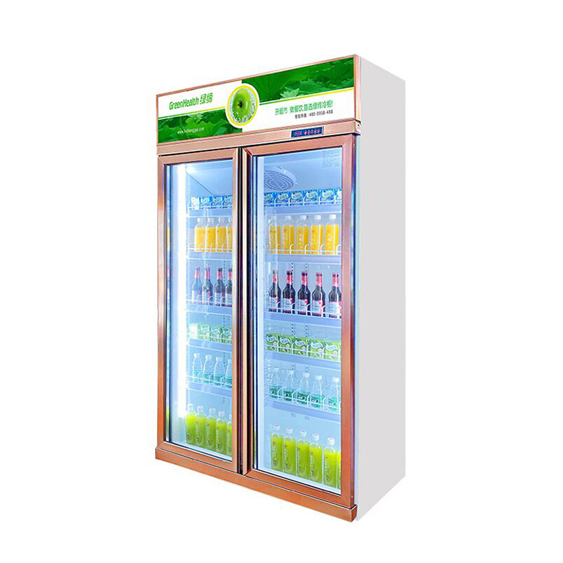 Supermarket Built In 2 Glass Door Beverage Cooler Pepsi Fridge Bottle Refrigerator