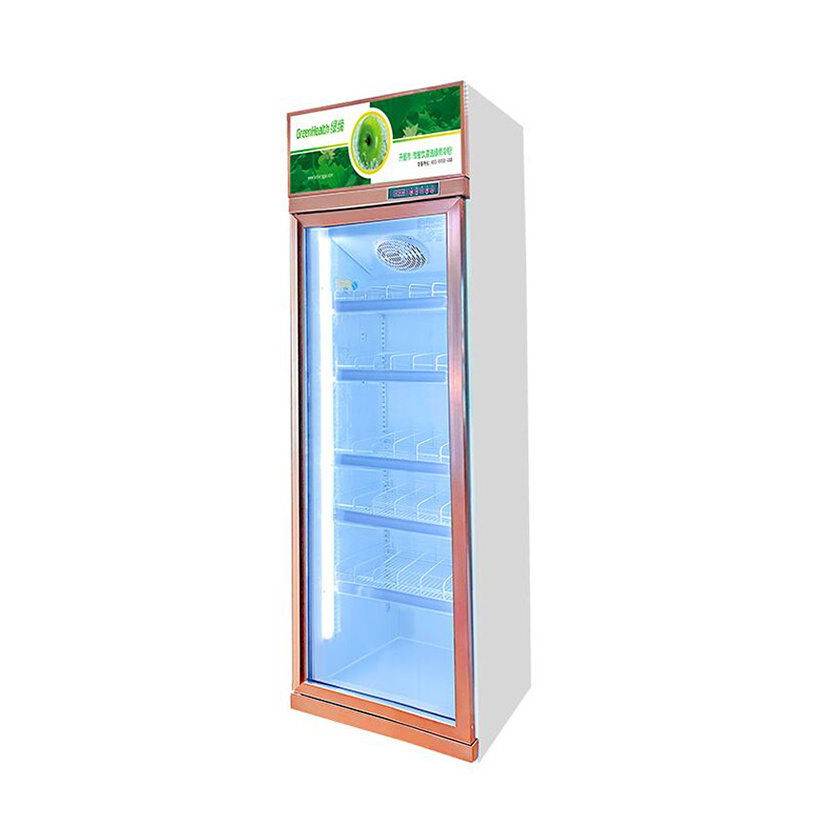 Supermarket Built In 2 Glass Door Beverage Cooler Pepsi Fridge Bottle Refrigerator