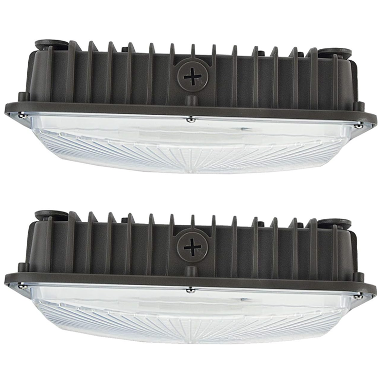 Outdoor High Bay Carport Ceiling Light ETL CE 40w 60w 80w 100w 150w panel led canopy light for gas station dome illumination