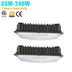 277V 347V 480V Isolated LED driver 40w 60w 100w 150w 80w canopy Ceiling fitting Light Fixtures for Basement Warehouse Garage