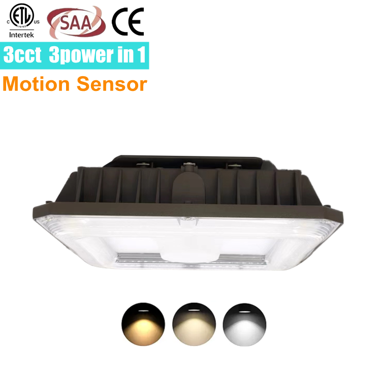 led canopy light fixtures 3 Color 3000k 4000k 5700k changeable competitive low price motion sensor petrol station light intertek