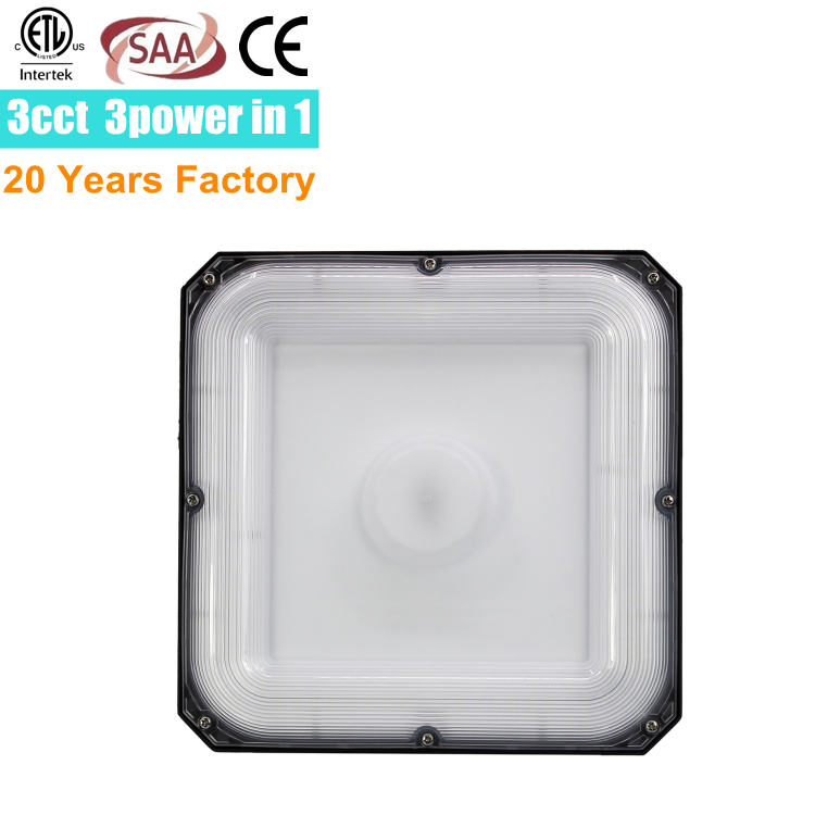 led canopy light fixtures 3 Color 3000k 4000k 5700k changeable competitive low price motion sensor petrol station light intertek