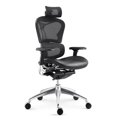 Foshan Wholesale Elegant Luxury Comfortable Executive High Back Office Mesh Ergonomic Chair