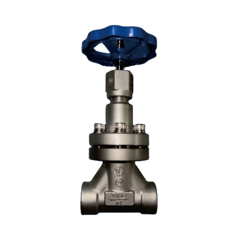 LN2 LAr LO2 LNG ETC. High Pressure Cryogenic Globe Valve