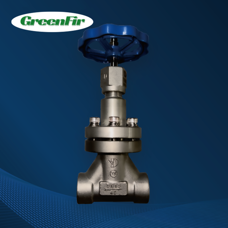 LNG and ASU Cryogenic gas control valve cryogenic pressure valve with handle