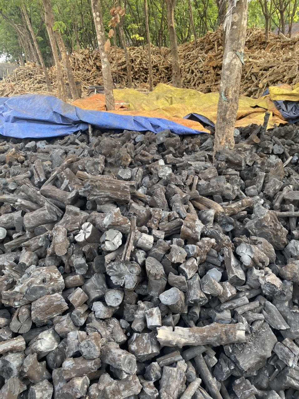 LOW PRICE Per Ton Manufacturers High Quality Coffee Hardwood Charcoal For Sale