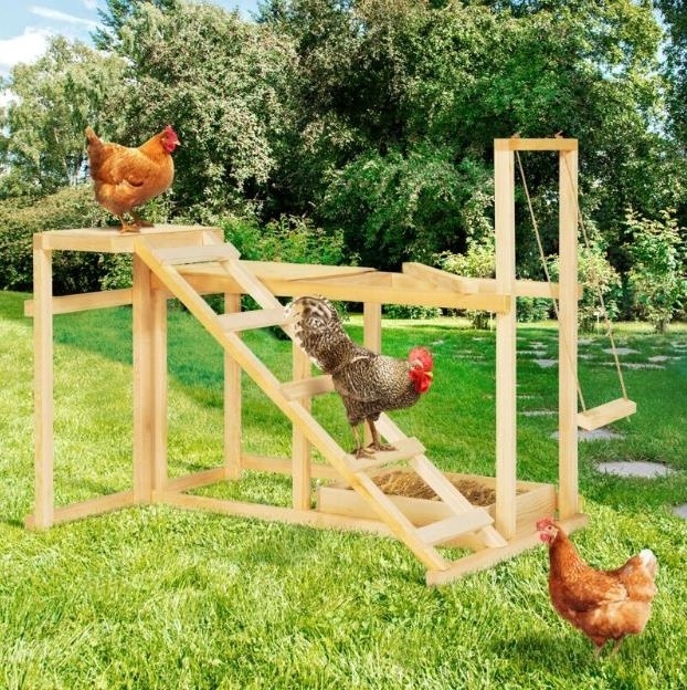 wooden swing perch ladder dust bath for chickens