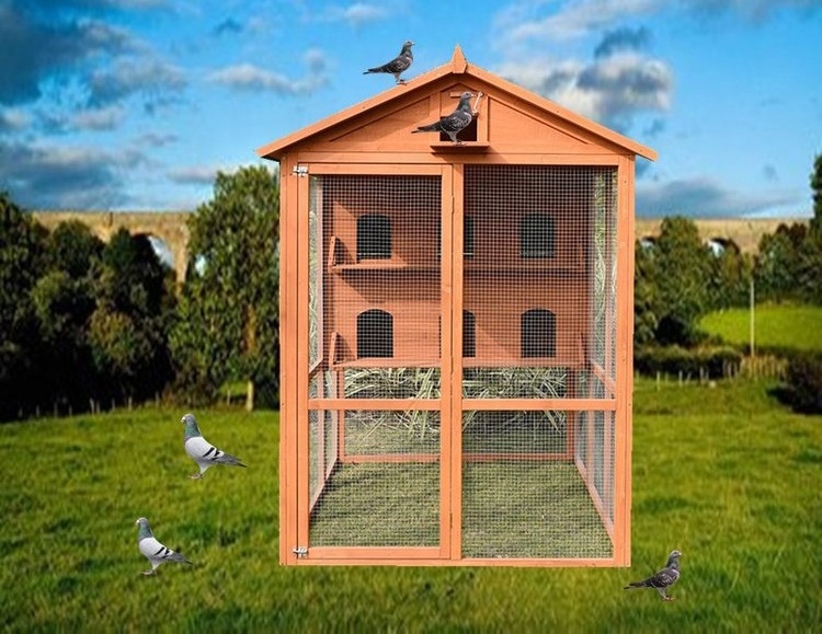 Outdoor wooden animal pet Pigeon wood house birds breeding house large bird cage