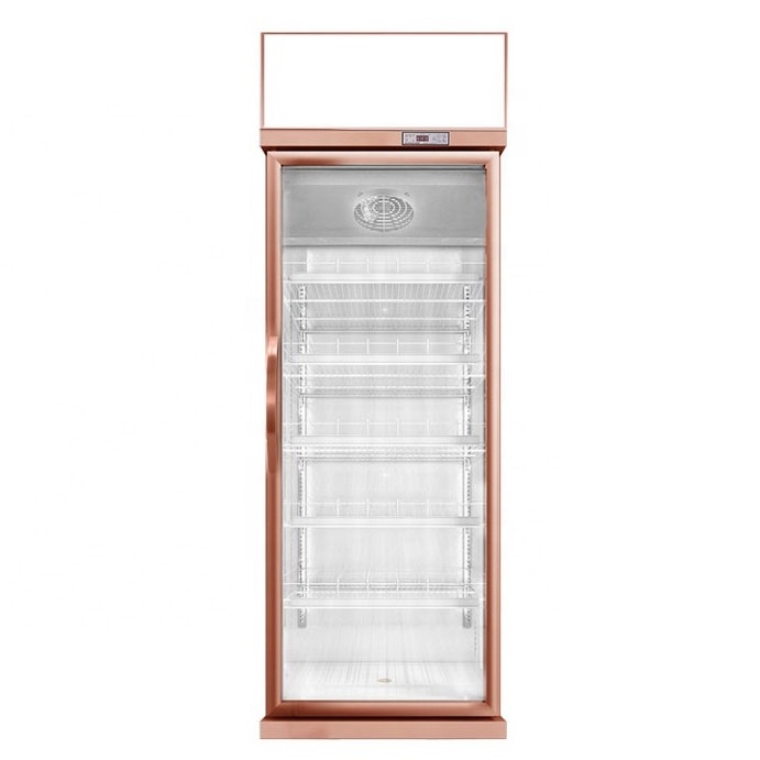 Best price display cooler from china manufacturer pepsi refrigerator