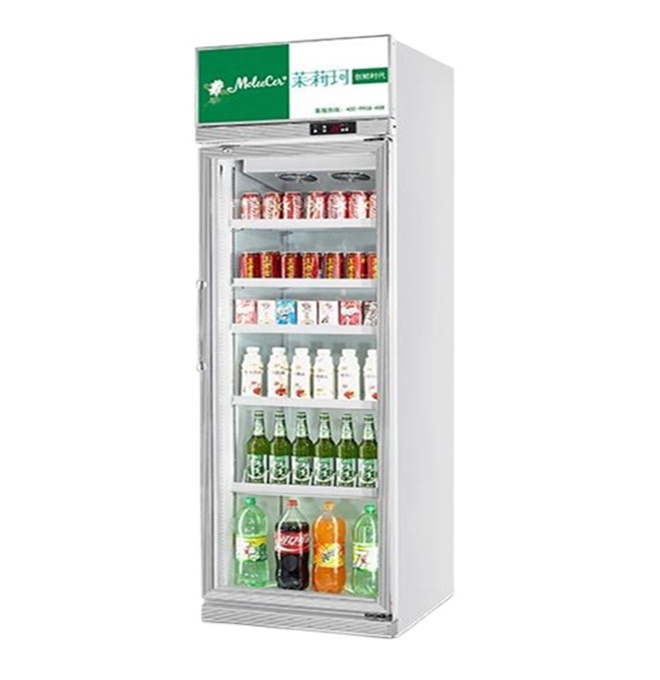 Green Health One Door Pepsi Display Cooler Flower Fridge Upright Mini Display Chiller