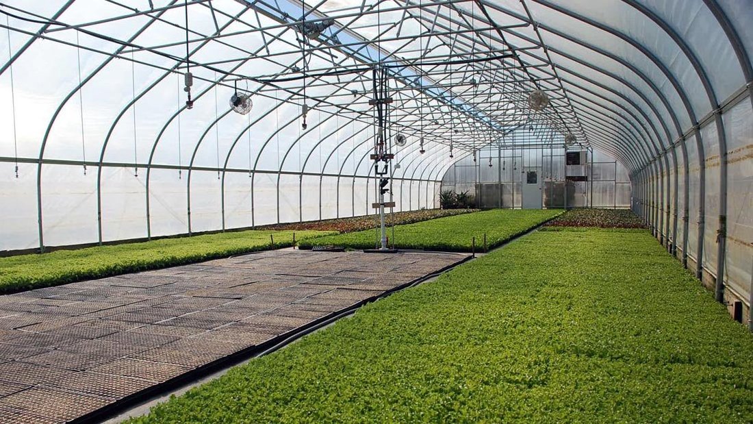Galvanized Steel Frame Gothic Arch Tunnel Used Greenhouse ...