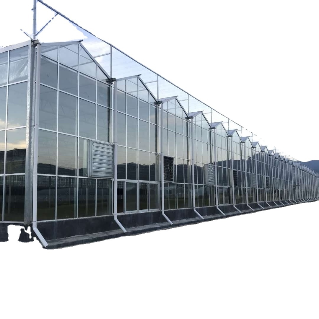 the 2024 years JIANDA GREENHOUSE Hydroponics Vertical Sponge Rolling Benches With Smart Glass Agriculture Greenhouse