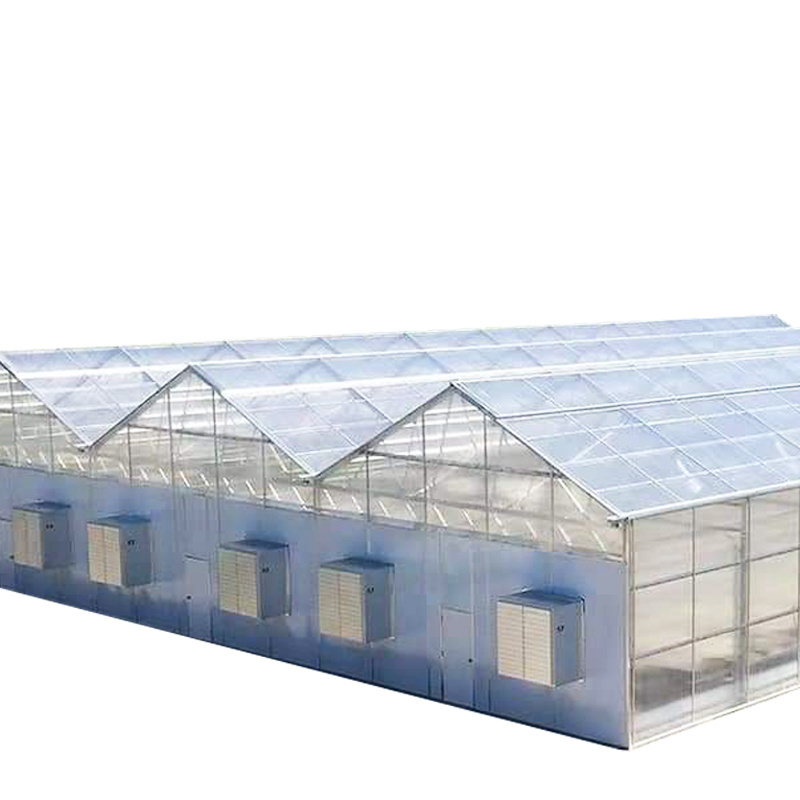 made in china made in sunsgreenhouse Light tunnel farm used China High Quality Agriculture Sale greenhouse for sale