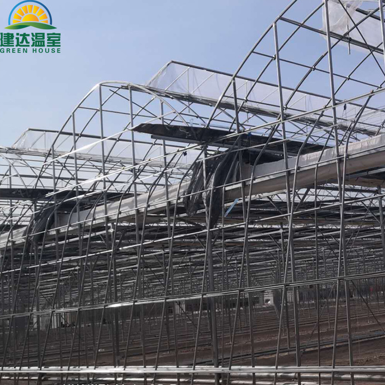 hot sell multi span film green house greenhouse structure commercial used greenhouse frames for sale SUNSGH greenhouse china