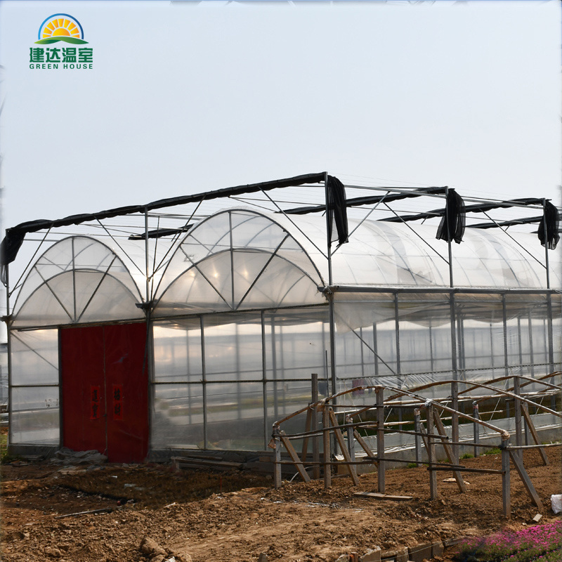 China multispan film greenhouse for hydroponic indoor farming NFT channel, planting trough, Dutch bucket for tomato cucumber