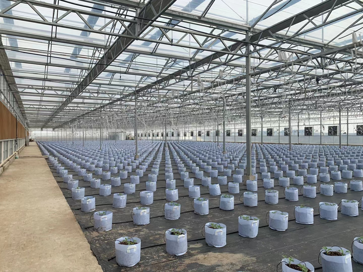 made in china made in sunsgreenhouse Light tunnel farm used China High Quality Agriculture Sale greenhouse for sale