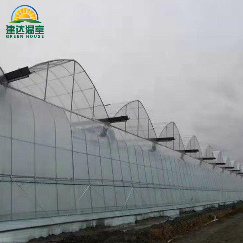 hot sell multi span film green house greenhouse structure commercial used greenhouse frames for sale SUNSGH greenhouse china