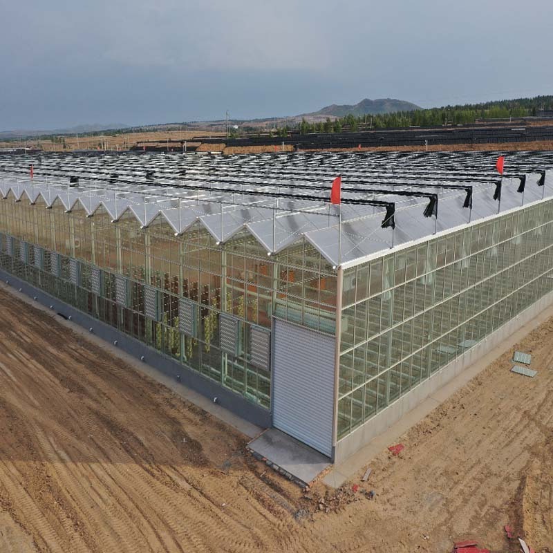 Hot sale Jianda greenhouse factory Commerical low cost agriculture multi-span hydroponic smart glass greenhouse for sale SUNSGH Greenhouse china