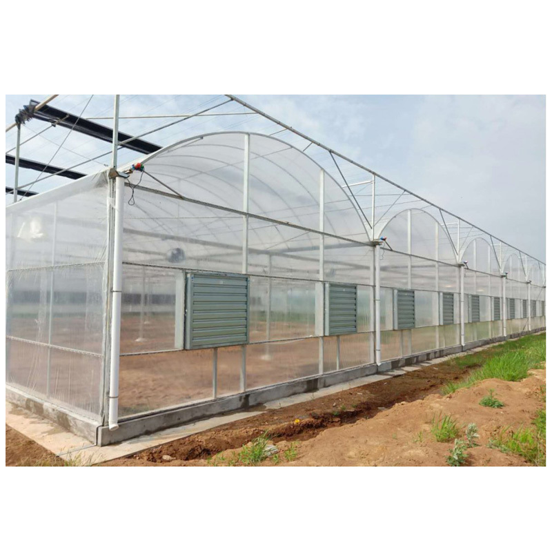 China multispan film greenhouse for hydroponic indoor farming NFT channel, planting trough, Dutch bucket for tomato cucumber