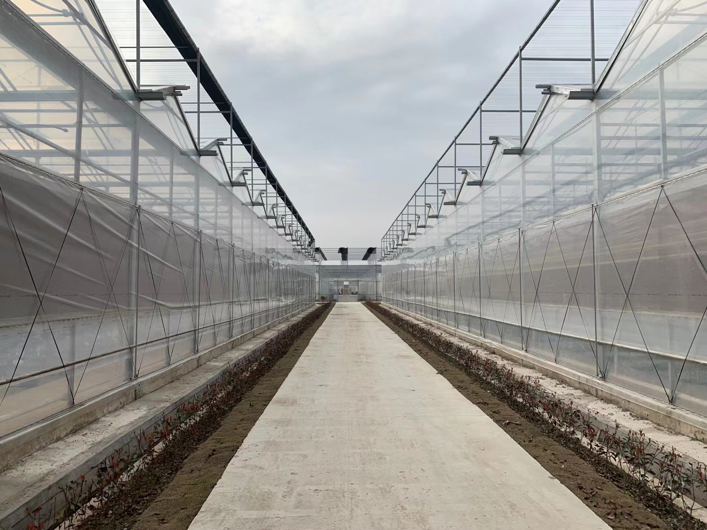 made in china made in sunsgreenhouse Light tunnel farm used China High Quality Agriculture Sale greenhouse for sale