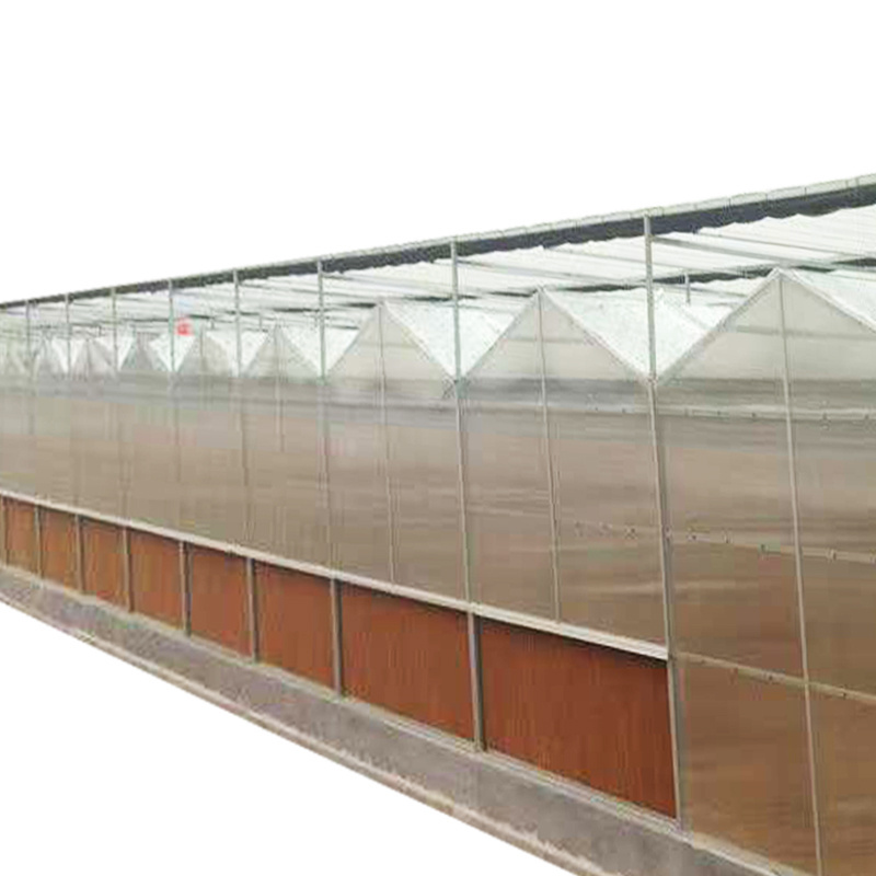 Hot sell Multi-Span Greenhouses PC Board With Hydroponic Strawberry Growing Systems Greenhouse For Sale jianda green house SUNSGH greenhouse SUNSGH