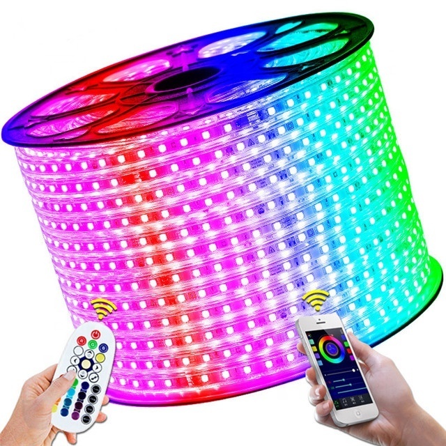 high brightness outdoor waterproof smd 5050 3528 flexible RGB led light strip 220V 110V 60LEDs/m Tape Rope Light for home decor