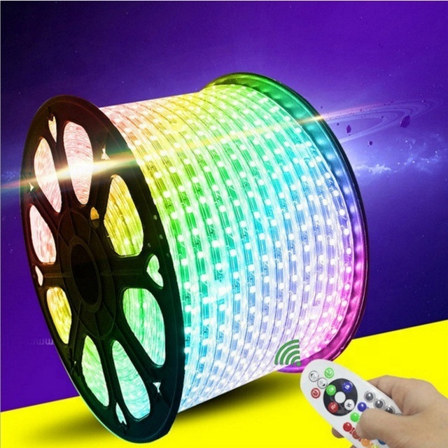 high brightness outdoor waterproof smd 5050 3528 flexible RGB led light strip 220V 110V 60LEDs/m Tape Rope Light for home decor