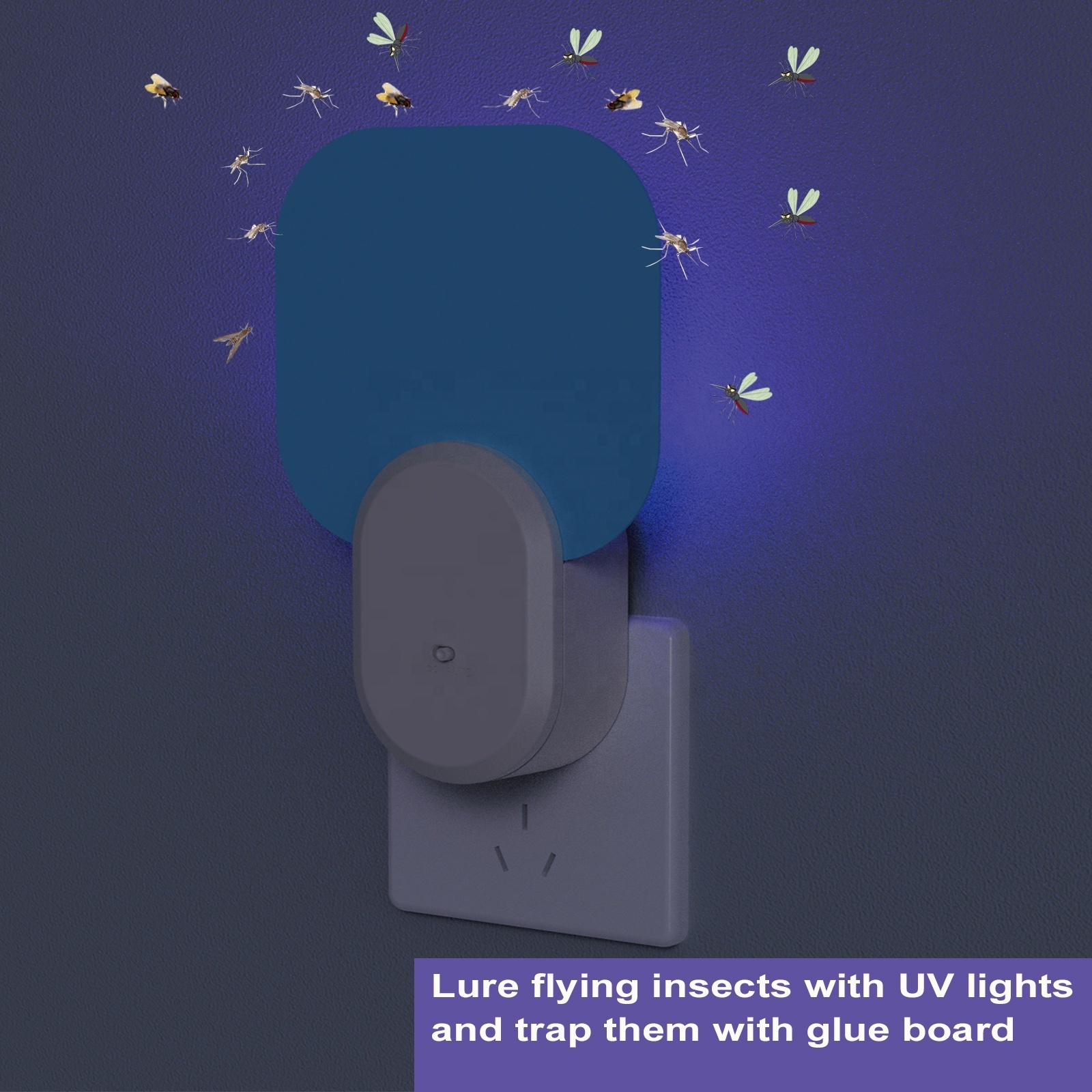 New Arrival UV flying insects Electric Mosquito Killing Lamp Plug-in Lamp with Glue paper