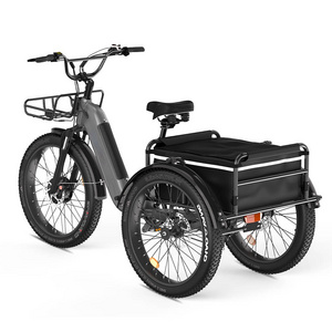 Big Loads fat 24inch Cargo EBike Motorized Tricycles Electric Bike Electric Trike USA warehouse with Pets Kids luggage carrier