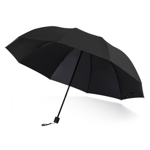 Windproof Travel Umbrella with UV Coating,Auto Open Close Lightweight SunRain Umbrella/