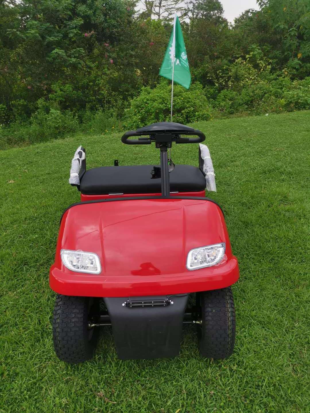 cheap single seat cheap mini golf cart for sale, Chinese manufacturer lithium and lead acid battery version