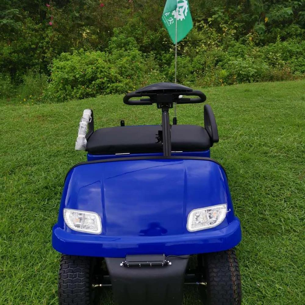 cheap single seat cheap mini golf cart for sale, Chinese manufacturer lithium and lead acid battery version