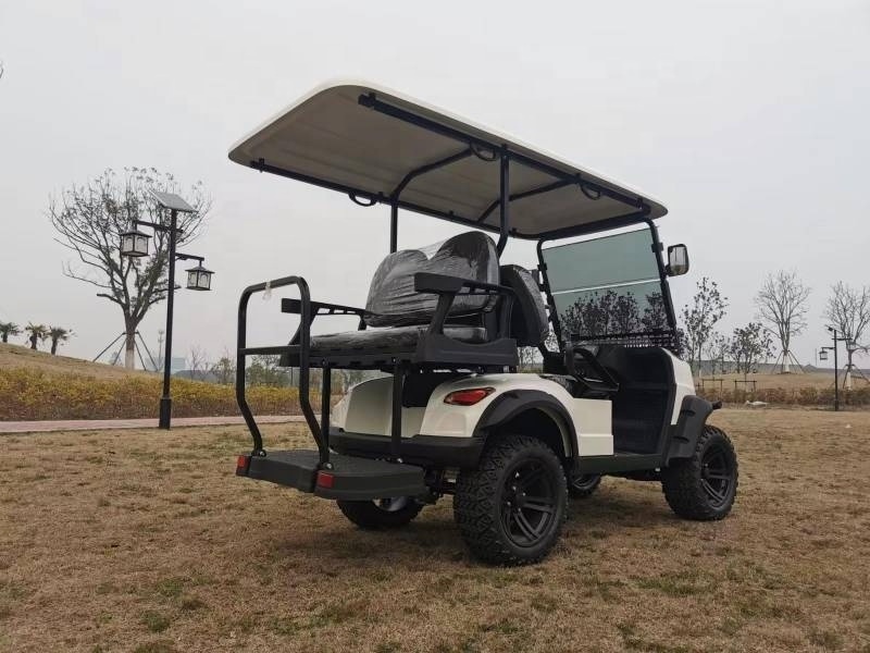 neighborhood or community used electric golf car LSV buggy 5KW AC Japan Nidec motor lithium battery and solar panel works on top