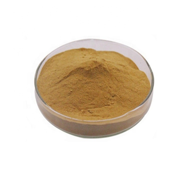 Hot Selling  Supply 100% Natural Bamboo Leaf Extract Powderr Bamboo Powder