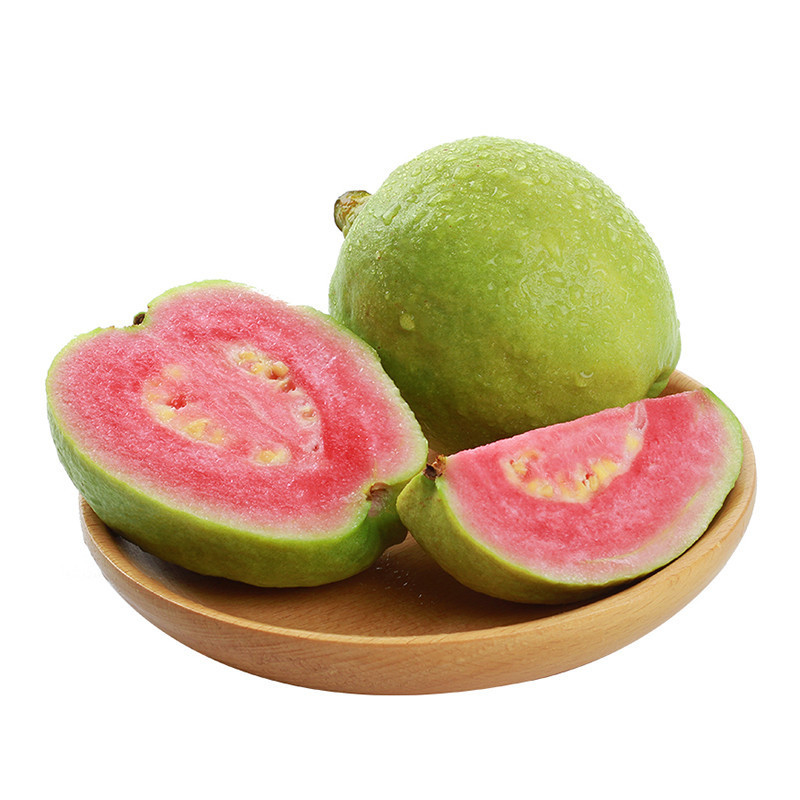 Hot Selling  Supply 100% Natural Guava Extract Guava leaf Extract powder