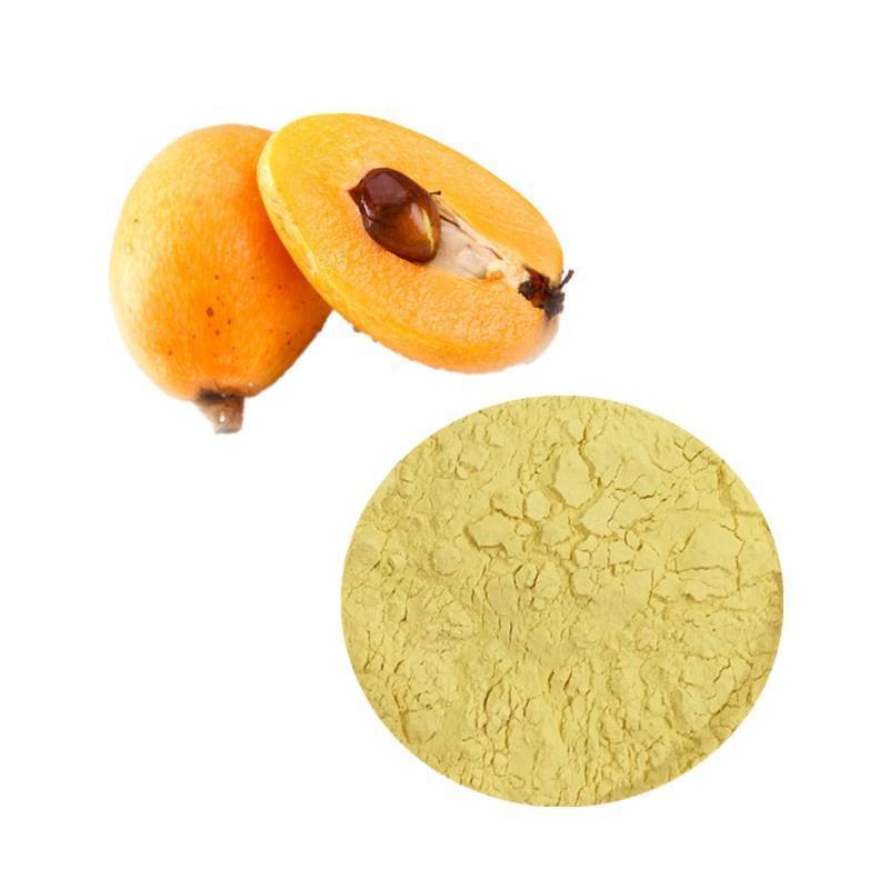 Hot Selling  Supply 100% Natural Loquat Powder Loquat Juice Powder