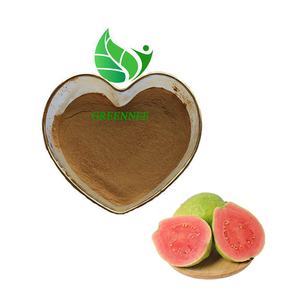 Hot Selling  Supply 100% Natural Guava Extract Guava leaf Extract powder