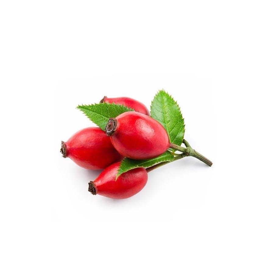 100% Pure Natural Rose Hip Extract Powder Rose Hip Powder