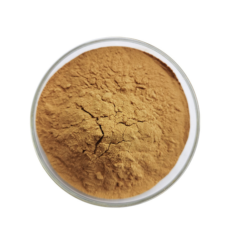 Hot Selling  Supply 100% Natural Bamboo Leaf Extract Powderr Bamboo Powder