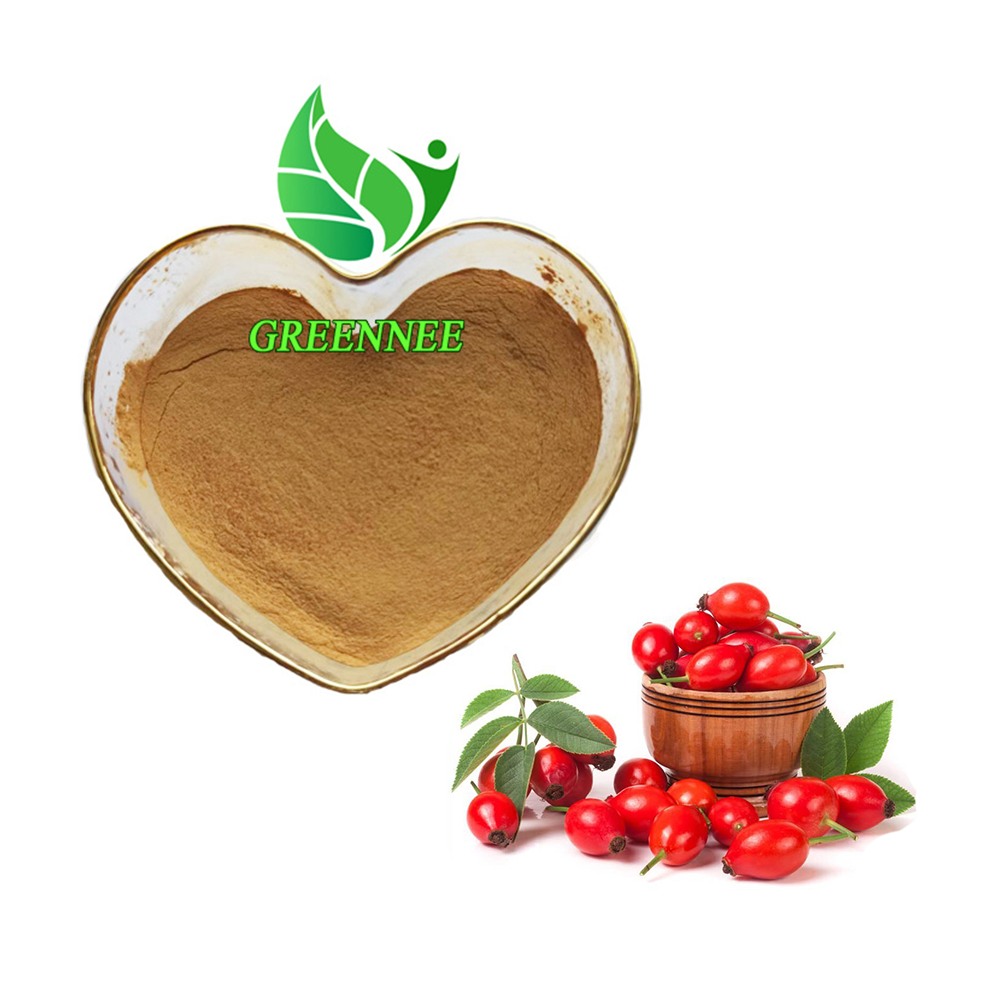 100% Pure Natural Rose Hip Extract Powder Rose Hip Powder