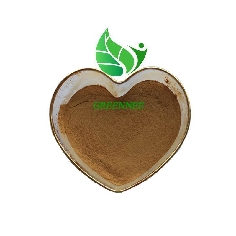 Hot Selling  Supply 100% Natural Guava Extract Guava leaf Extract powder