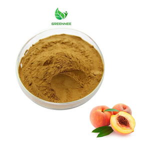 Hot Selling  Supply 100% Natural Peach Kernel Extract Peach Kernel Extract Powder