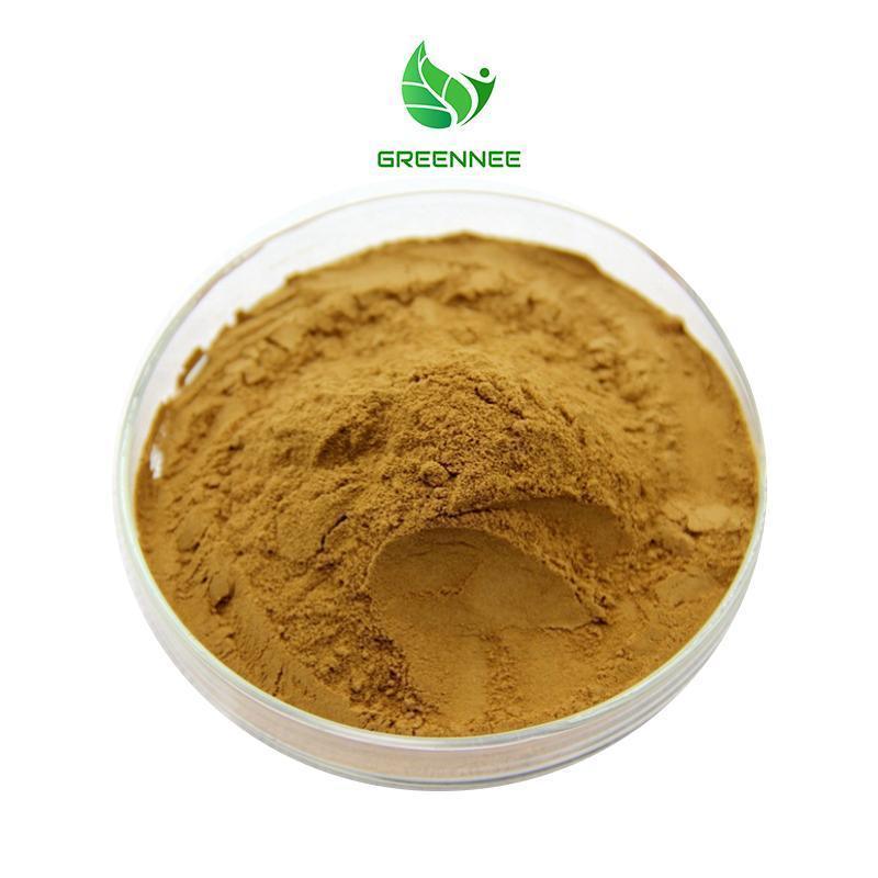 Hot Selling  Supply 100% Natural Peach Kernel Extract Peach Kernel Extract Powder