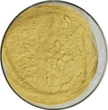 Hot Selling  Supply 100% Natural Loquat Powder Loquat Juice Powder