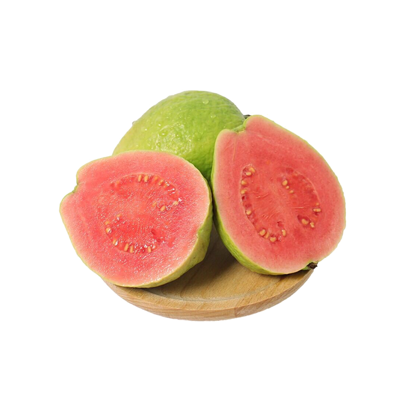 Hot Selling  Supply 100% Natural Guava Extract Guava leaf Extract powder