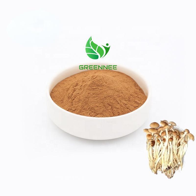 Agrocybe Aegerita Extract/Tea Tree Mushroom Polysaccharides