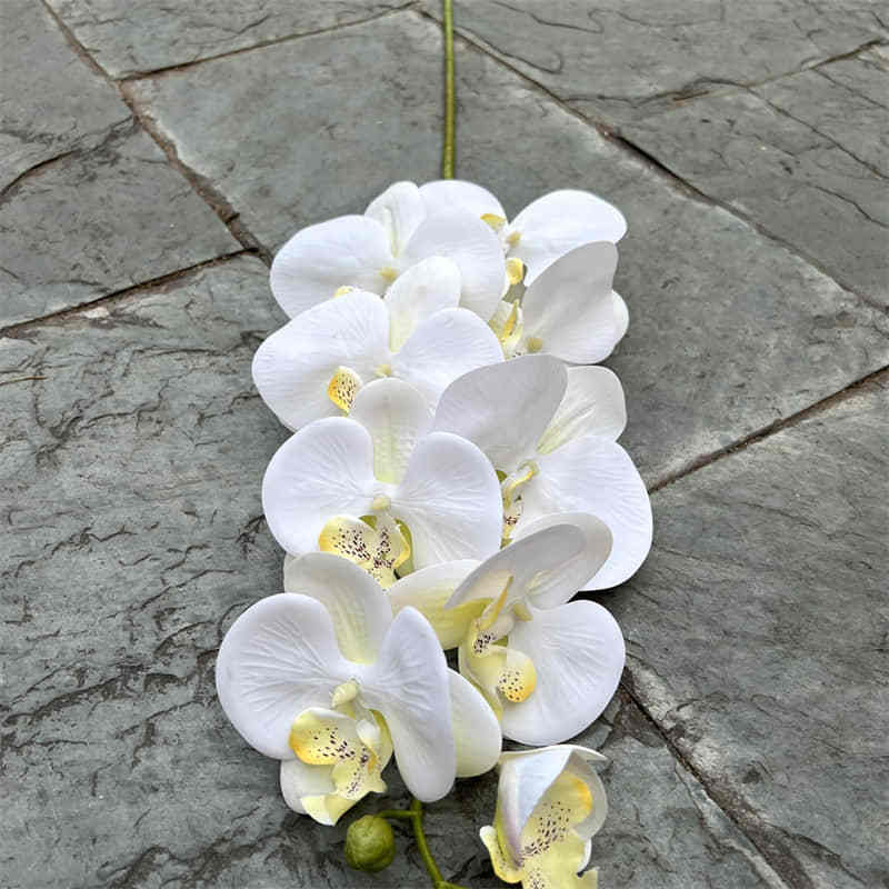 GOG659 Wedding decoration High quality Real touch silk orchids flowers  Artificial silk vision flowers wholesale