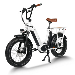 Hot Selling Factory Direct Price Dual Battery Step Through Fat Tire Ebike 750w Motor Ebike