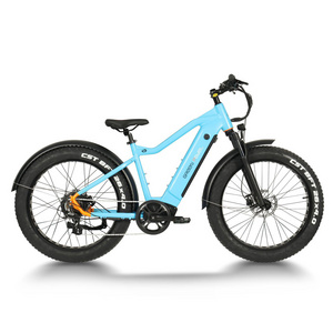 Fat tire beach ebike boy 750W electric bike 500W 1000W ebike electric mountain bike