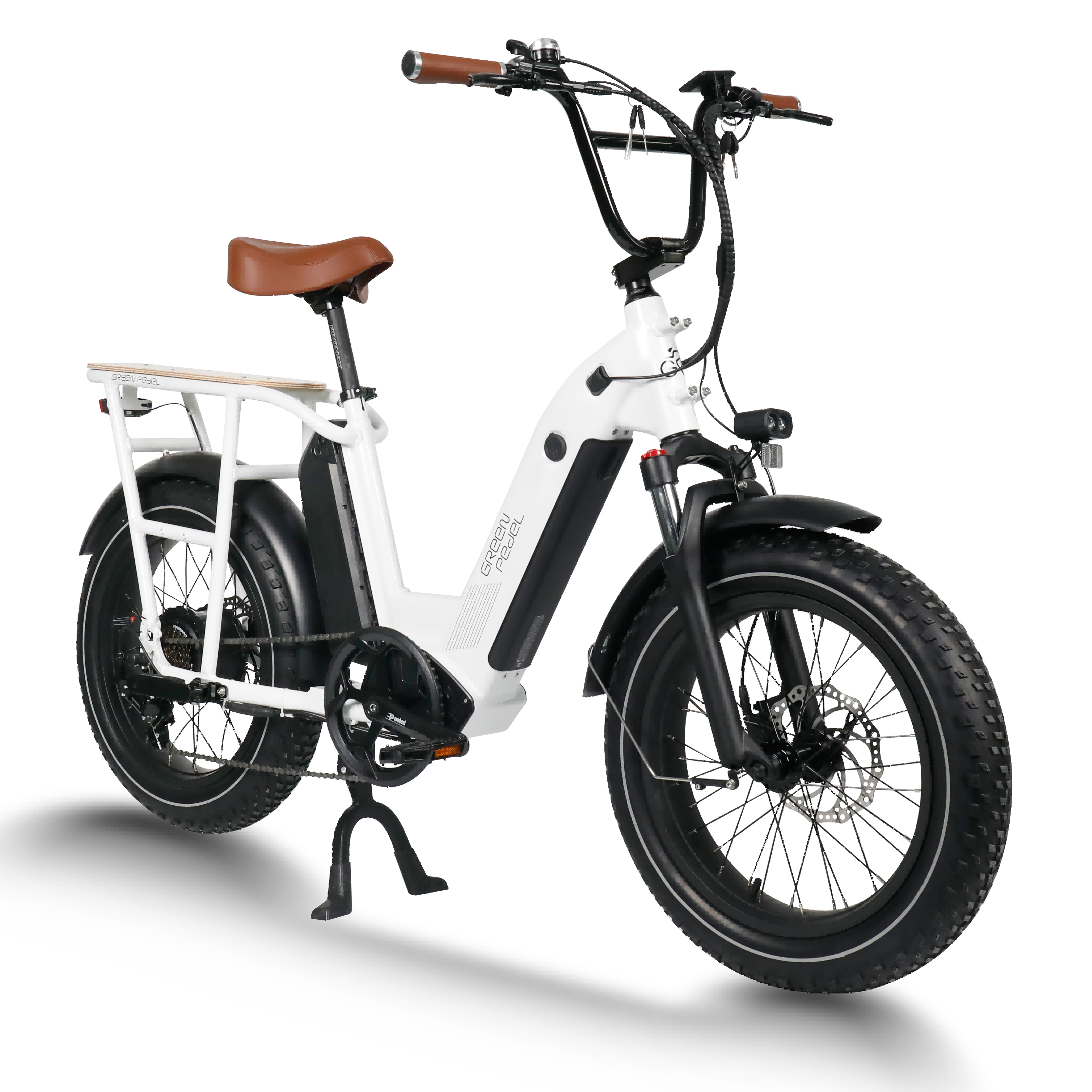 New Style Electric Bike 48v 750w Rear Motor Ebike 2 Wheel 20 Inch Fat Tire Electric Bicycle Cargo for beach